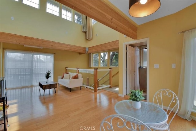 1631 Salem St, Chico, CA 95928 - living room featuring wood finished floors and a high ceiling