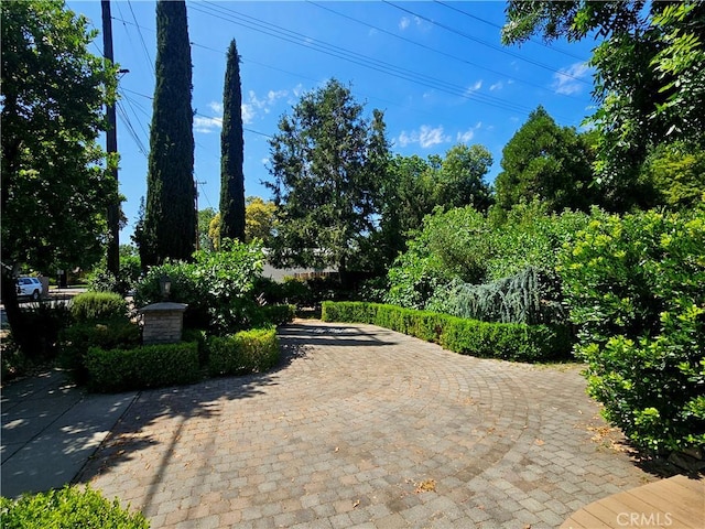 1631 Salem St, Chico, CA 95928 - view of home's community
