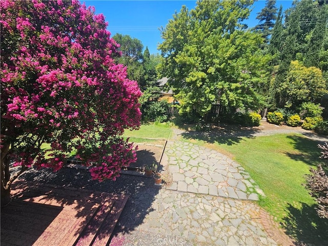 1631 Salem St, Chico, CA 95928 - view of green lawn featuring a patio area
