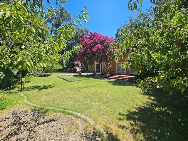 1631 Salem St, Chico, CA 95928 - view of green lawn