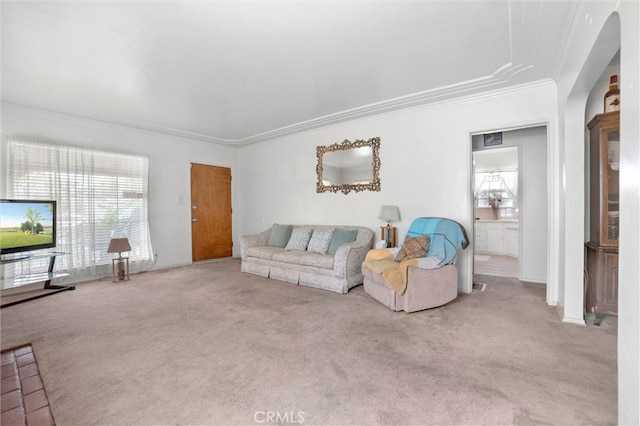 carpeted living area with a wealth of natural light and ornamental molding