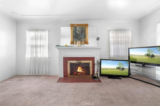 carpeted living room with ornamental molding and a fireplace
