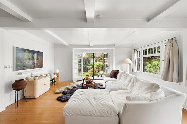 living area with wood finished floors, beam ceiling, and a healthy amount of sunlight