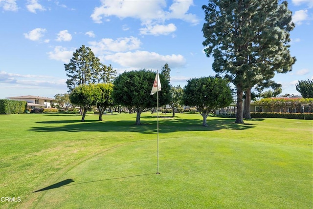 view of community with a lawn
