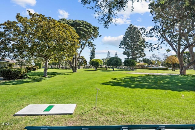 view of property's community with a lawn