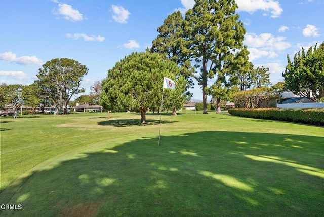 view of community with a lawn