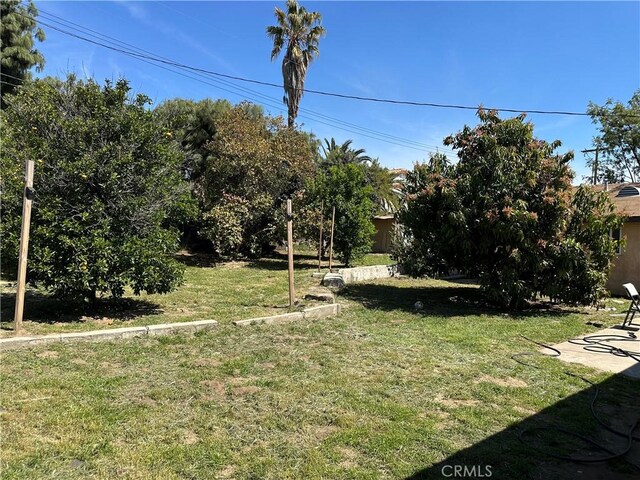 878 E Holly St, Rialto, CA 92376 - view of green lawn