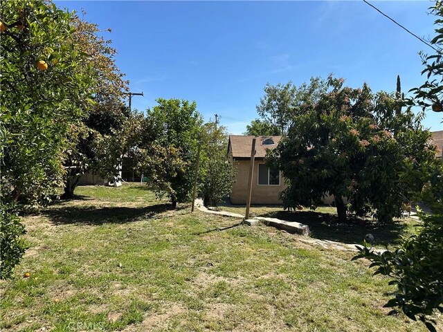 878 E Holly St, Rialto, CA 92376 - view of green lawn