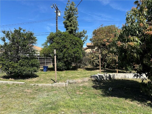 878 E Holly St, Rialto, CA 92376 - view of yard
