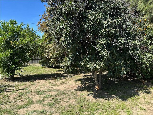878 E Holly St, Rialto, CA 92376 - view of yard