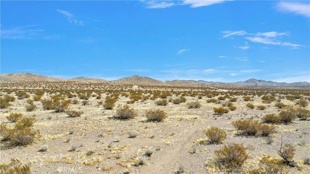 0 Desert Flower, Adelanto, CA 92301 - photo 10