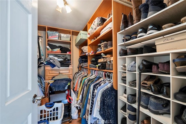 view of walk in closet