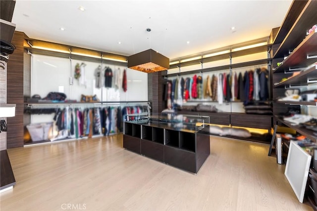 spacious closet featuring wood finished floors