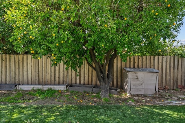 view of yard with a fenced backyard