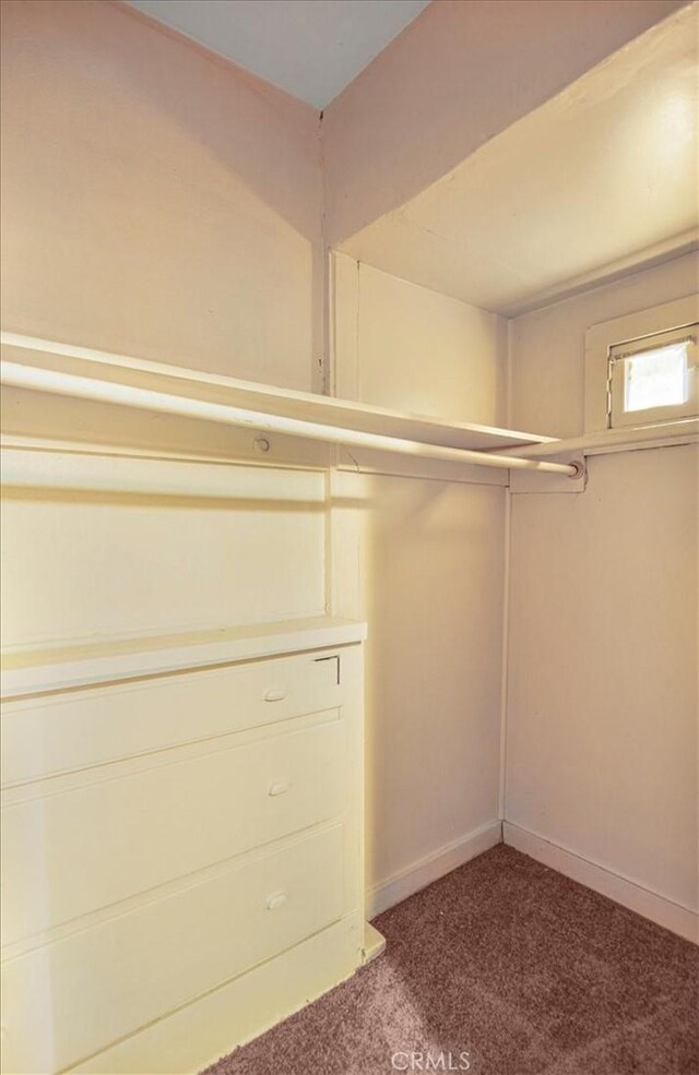 3417 4th Ave, Los Angeles, CA 90018 - spacious closet with carpet floors