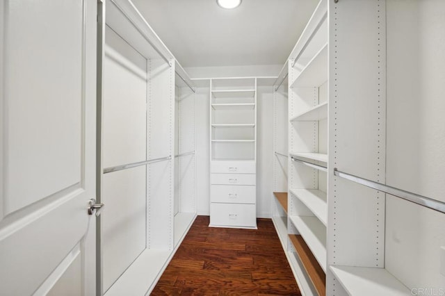 walk in closet with dark wood-style floors