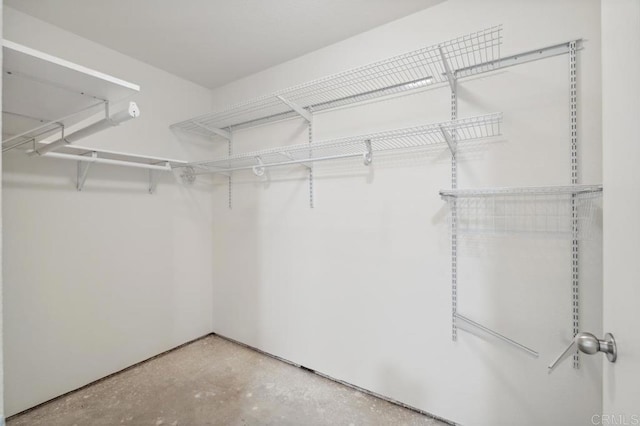 view of spacious closet