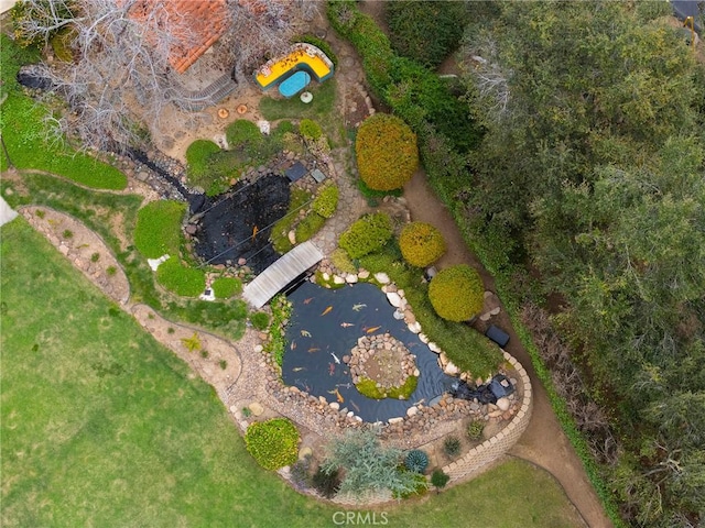 drone / aerial view