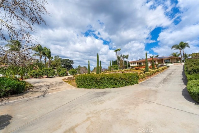 view of street featuring concrete driveway