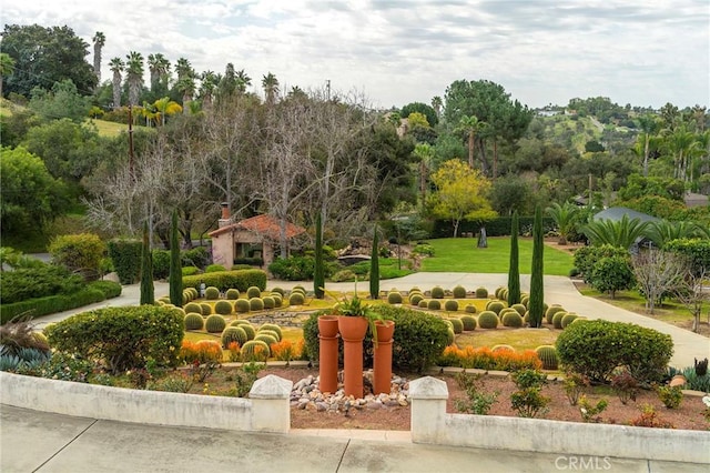 view of community with a lawn