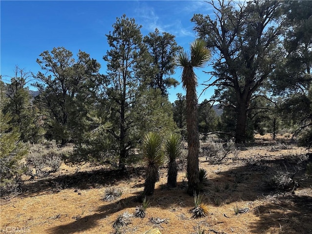 36 Kennedy Meadows Rd, Kennedy Meadows, CA 93527