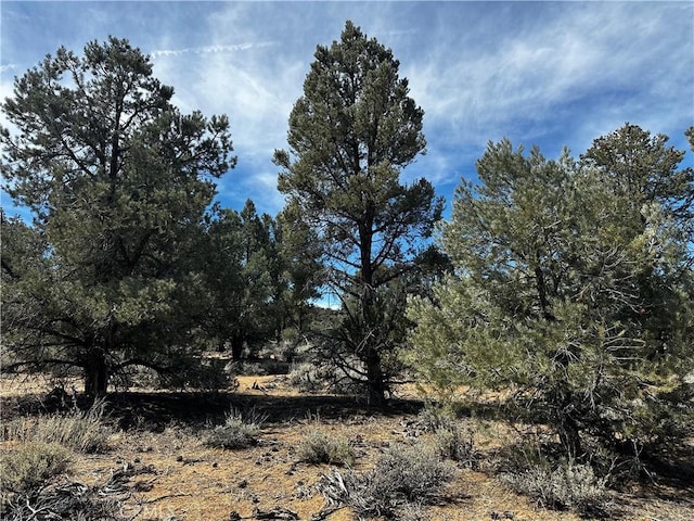 36 Kennedy Meadows Rd, Kennedy Meadows, CA 93527