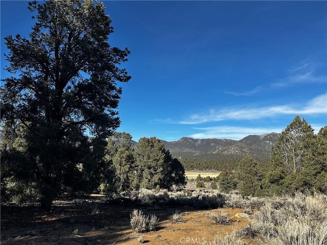 36 Kennedy Meadows Rd, Kennedy Meadows, CA 93527