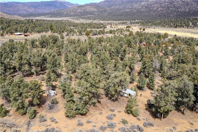 36 Kennedy Meadows Rd, Kennedy Meadows, CA 93527