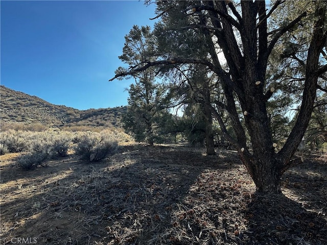 36 Kennedy Meadows Rd, Kennedy Meadows, CA 93527