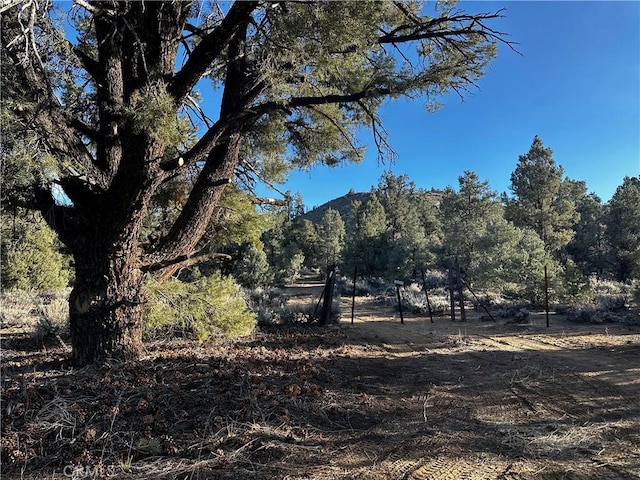 36 Kennedy Meadows Rd, Kennedy Meadows, CA 93527