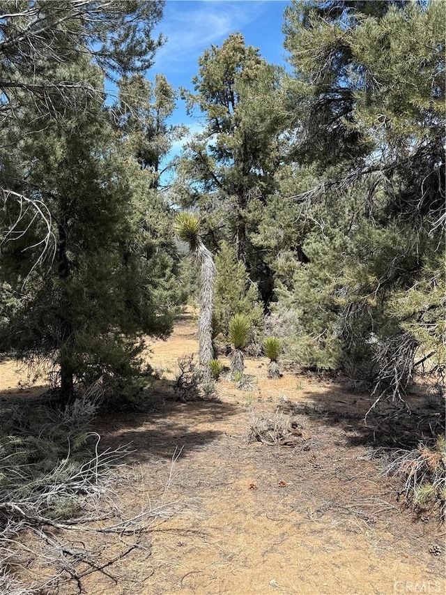 36 Kennedy Meadows Rd, Kennedy Meadows, CA 93527
