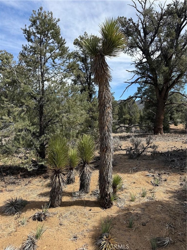36 Kennedy Meadows Rd, Kennedy Meadows, CA 93527
