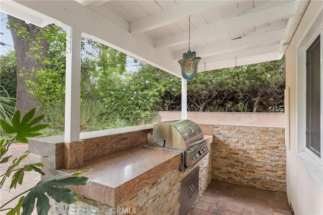 view of patio / terrace featuring area for grilling and grilling area