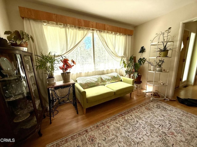 living area featuring wood finished floors