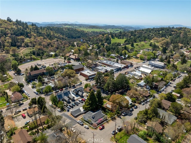 2007 3rd St, Julian, CA 92036 - drone / aerial view featuring a view of trees and a mountain view
