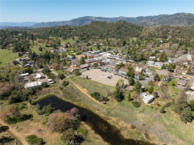 2007 3rd St, Julian, CA 92036 - aerial view featuring a forest view and a water and mountain view