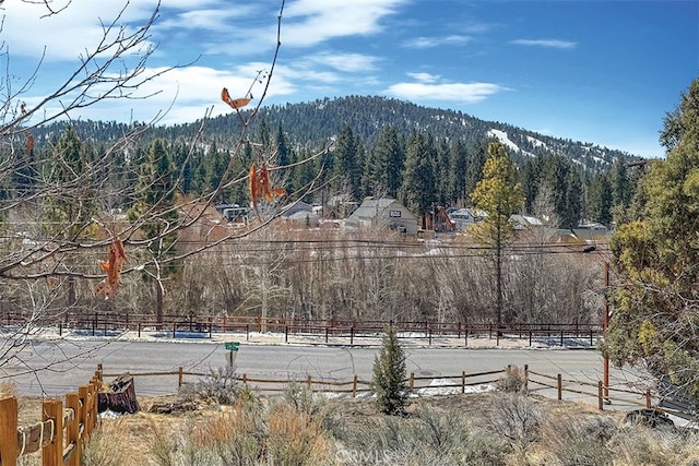 0 Monterey St, Big Bear Lake, CA 92315 - photo 2