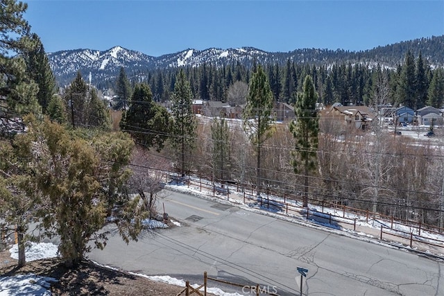 0 Monterey St, Big Bear Lake, CA 92315 - photo 17
