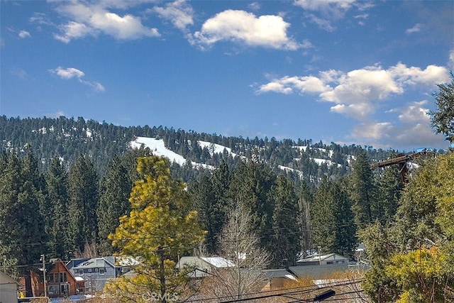 0 Monterey St, Big Bear Lake, CA 92315 - photo 11