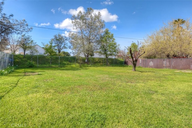 view of yard with a fenced backyard