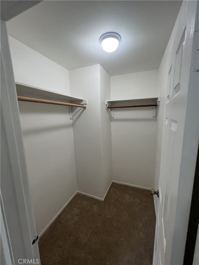 901 Vista Verde Cir, Duarte, CA 91010 - walk in closet featuring carpet floors