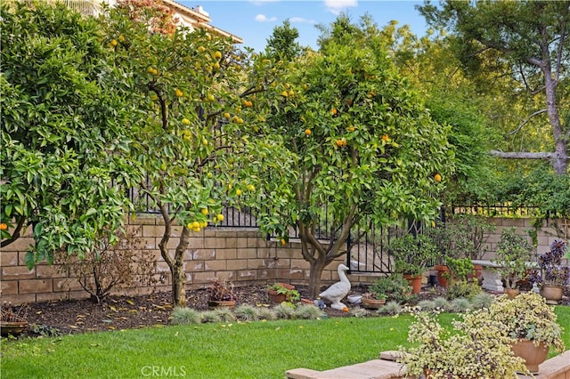 view of yard with fence