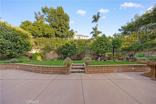 view of home's community with a patio and a fenced backyard