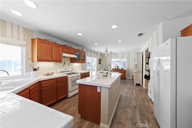 kitchen featuring white appliances, under cabinet range hood, dark wood finished floors, a sink, and visible vents