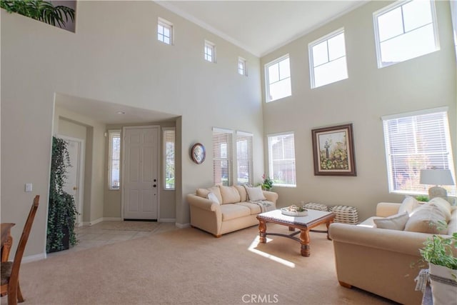 living area with carpet, baseboards, and crown molding