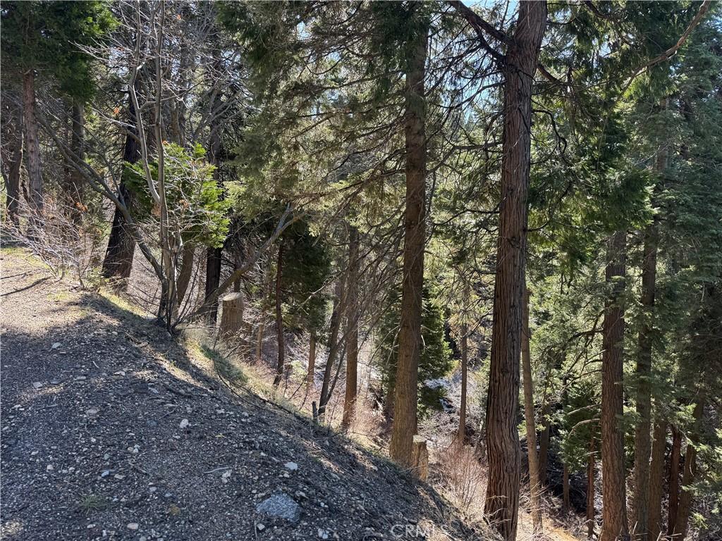 0 Sunderland Ct, Lake Arrowhead, CA 92352