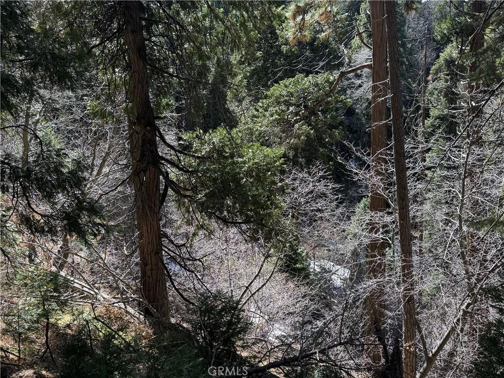 0 Sunderland Ct, Lake Arrowhead, CA 92352