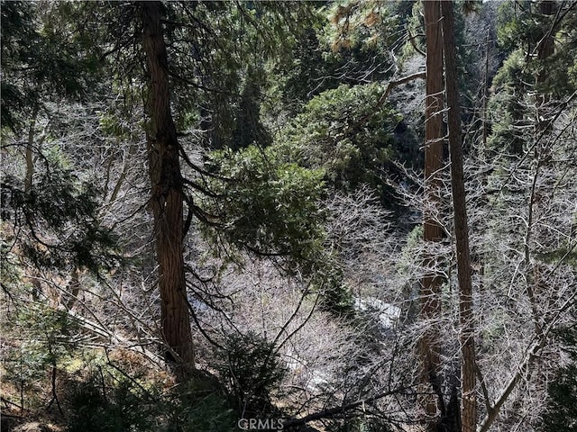 0 Sunderland Ct, Lake Arrowhead, CA 92352
