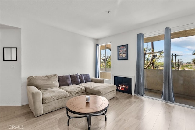 19350 Sherman Way Unit 204, Reseda, CA 91335 - living room featuring light wood-style flooring, a lit fireplace, and baseboards