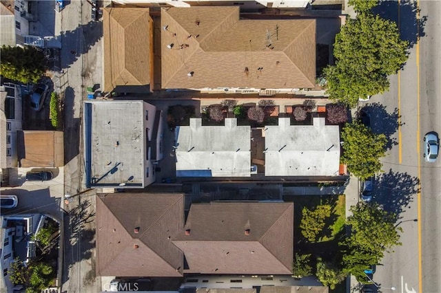 bird's eye view